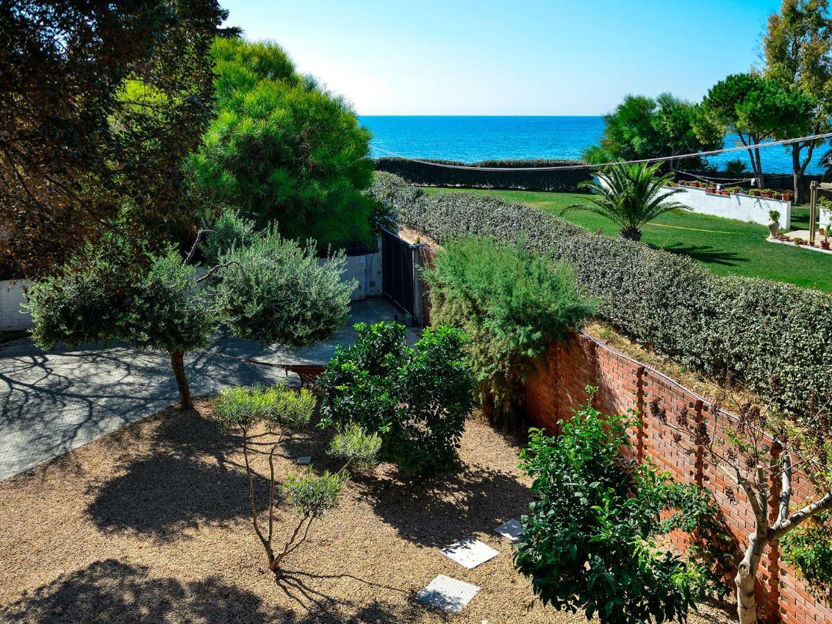Farosardo Bed and Breakfast Sant'Andrea  Eksteriør billede